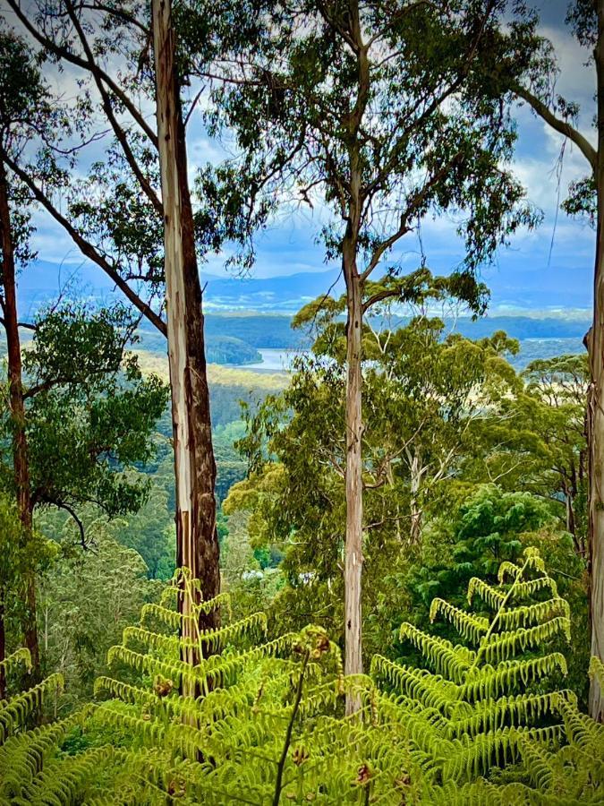Melbourne Topview Villa In Dandenong Ranges Near Skyhigh Kalorama Εξωτερικό φωτογραφία
