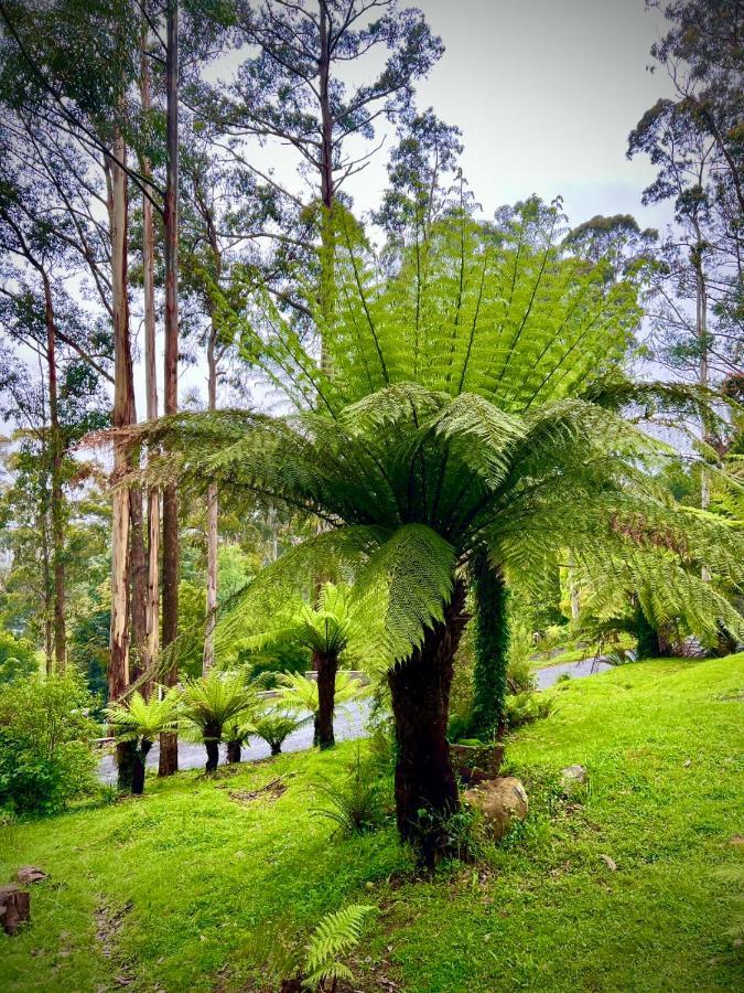 Melbourne Topview Villa In Dandenong Ranges Near Skyhigh Kalorama Εξωτερικό φωτογραφία