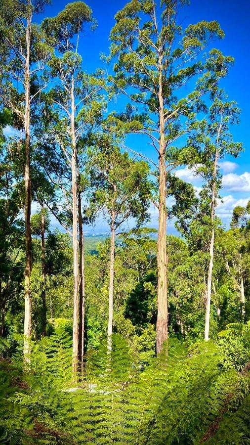 Melbourne Topview Villa In Dandenong Ranges Near Skyhigh Kalorama Εξωτερικό φωτογραφία