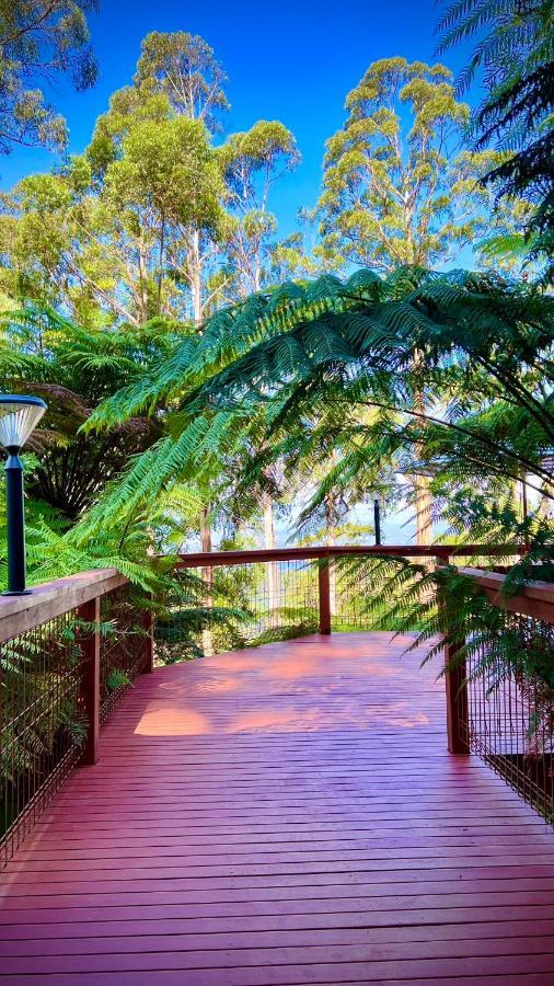Melbourne Topview Villa In Dandenong Ranges Near Skyhigh Kalorama Εξωτερικό φωτογραφία
