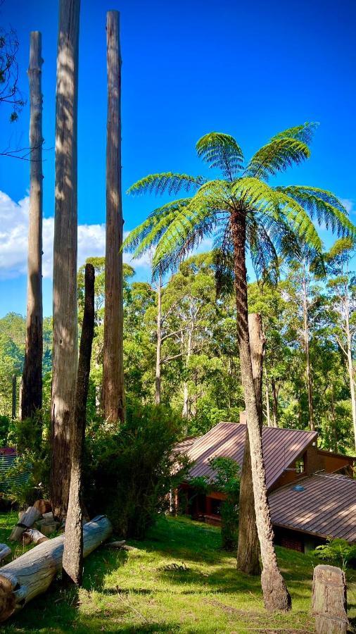 Melbourne Topview Villa In Dandenong Ranges Near Skyhigh Kalorama Εξωτερικό φωτογραφία
