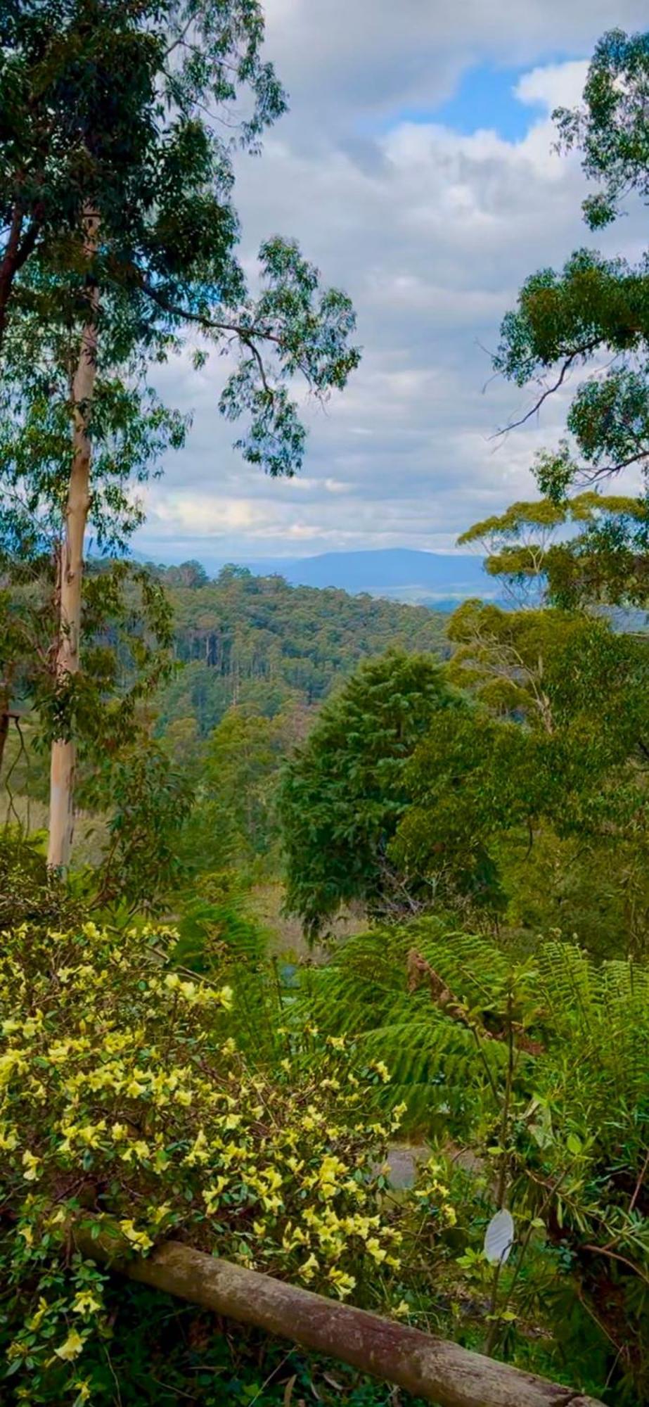 Melbourne Topview Villa In Dandenong Ranges Near Skyhigh Kalorama Εξωτερικό φωτογραφία
