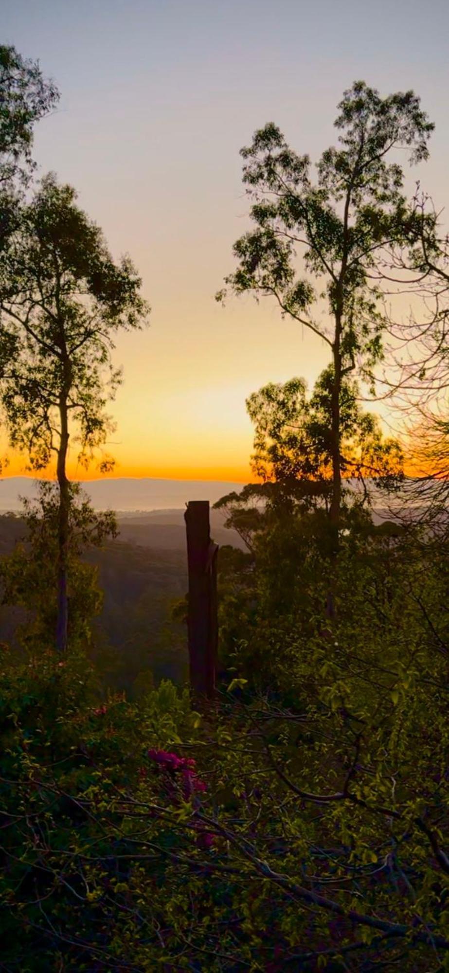 Melbourne Topview Villa In Dandenong Ranges Near Skyhigh Kalorama Εξωτερικό φωτογραφία