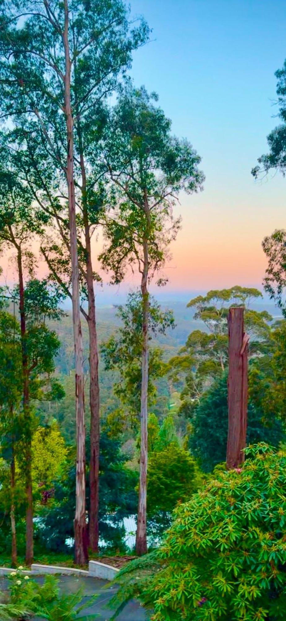 Melbourne Topview Villa In Dandenong Ranges Near Skyhigh Kalorama Εξωτερικό φωτογραφία