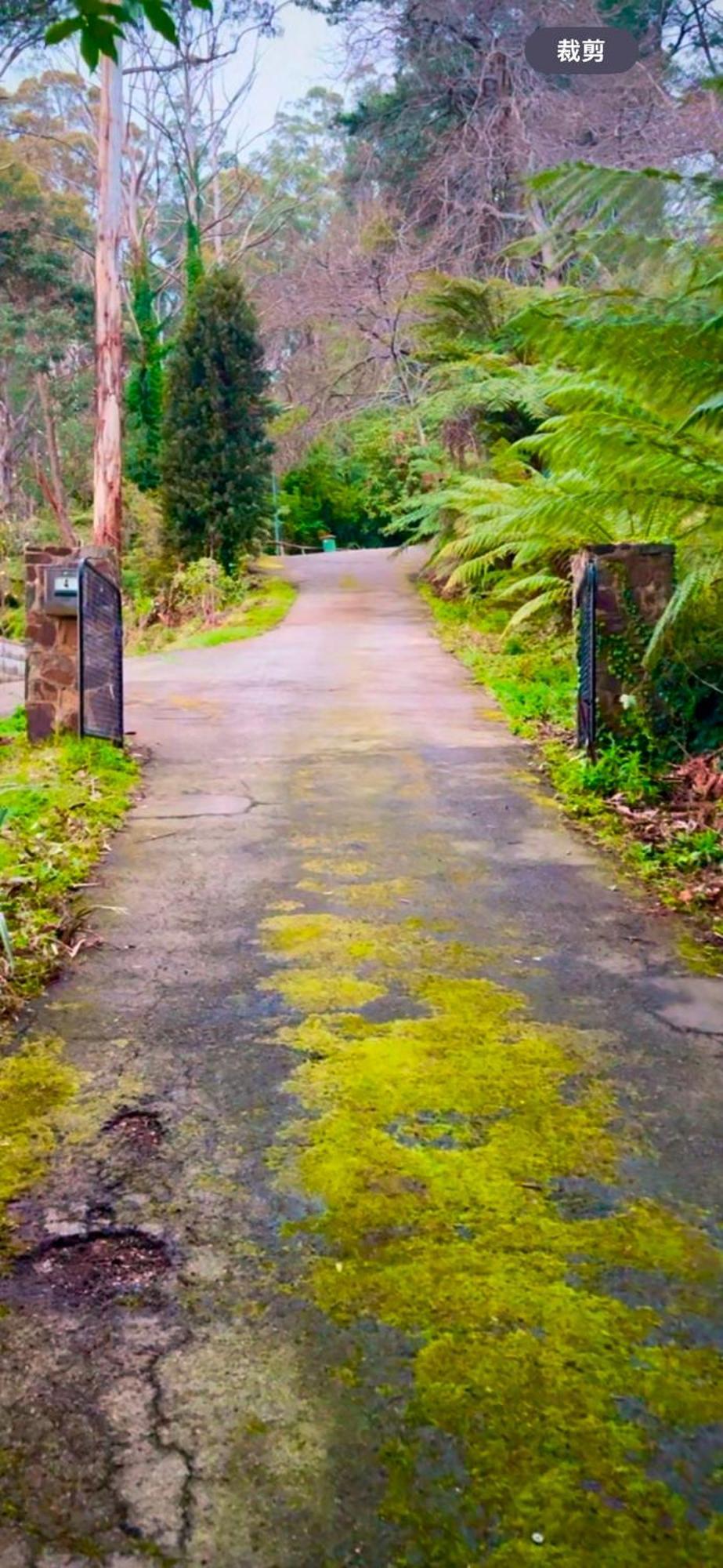 Melbourne Topview Villa In Dandenong Ranges Near Skyhigh Kalorama Εξωτερικό φωτογραφία
